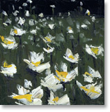 dasies