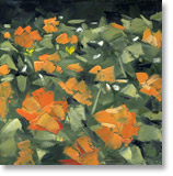 orange flowers