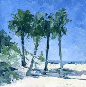 palms at clearwater