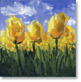 yellow tulips