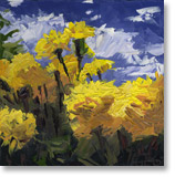 yellow carnations #2