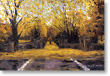 central park in fall