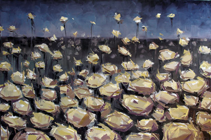 field of flowers