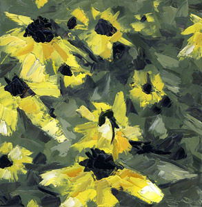 black-eyed susans