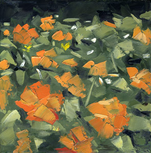 orange flowers