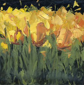 orange tulips