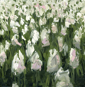 white tulips