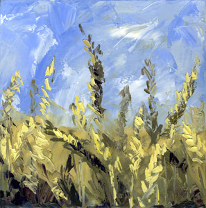wheat