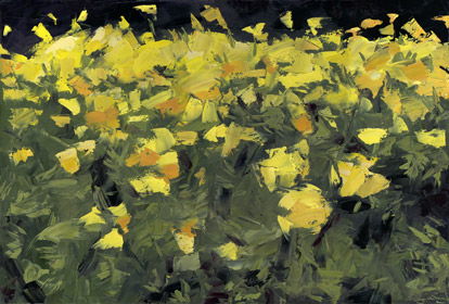 yellow wildflowers